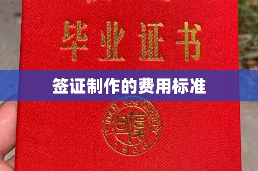 加查签证制作的费用标准