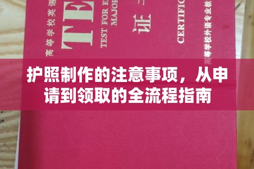 巨鹿护照制作的注意事项，从申请到领取的全流程指南